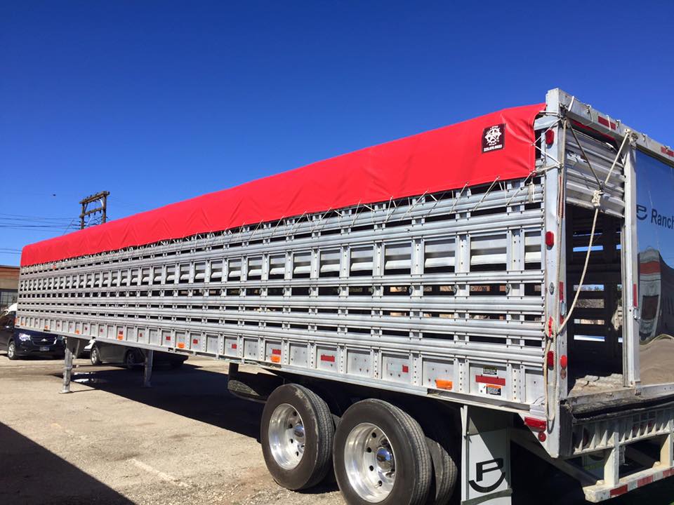 P Ranch Trailer Cover